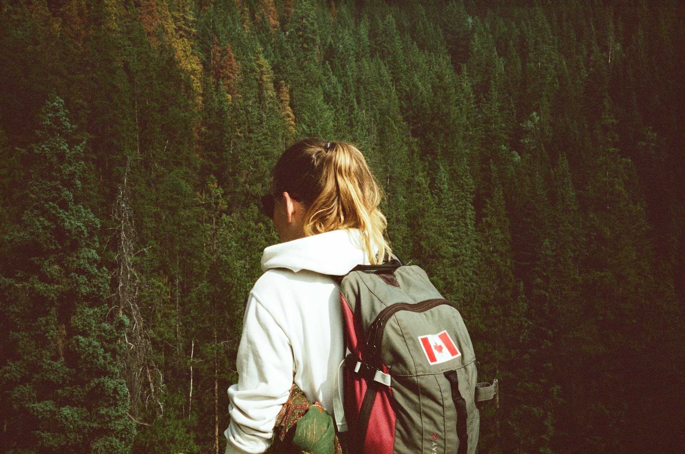 hiker in the forest