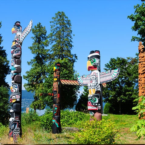 Three multi colored native art totem poles stand among tall green trees with one natural wood colored pole in the background at Stanley Park in Vancouver, BC.